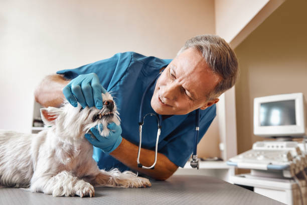 Best 24-Hour Emergency Dental Care in Kendall, FL